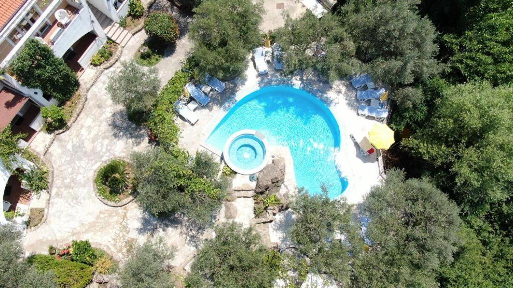 Olive Trees Apartment Budva